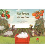 Safras de Sonhos